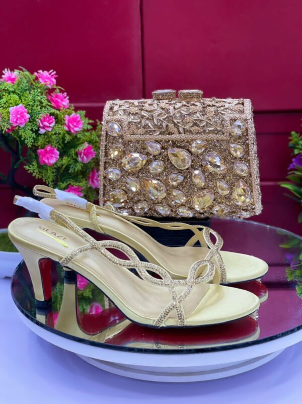 exquisite purse and shoe